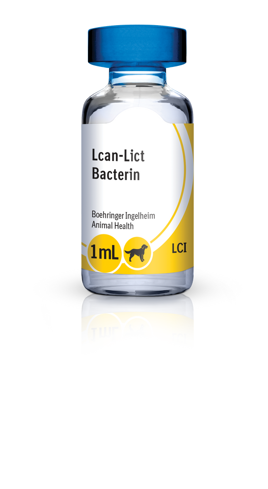RECOMBITEK® |  rDAPP + LCI (Boehringer Ingelheim)  |  – 1 dosis  | Vacunas Caninas